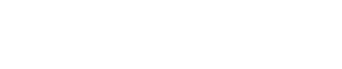 Wulkanex logo